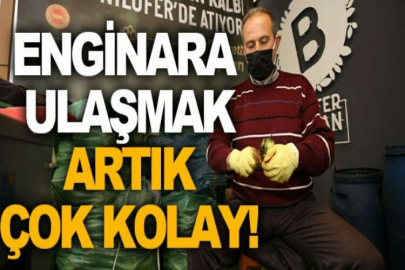 Hasanağa enginarına ulaşmak artık çok kolay