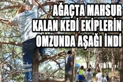 Ağaçta mahsur kalan kedi ekiplerin omzunda aşağı indi