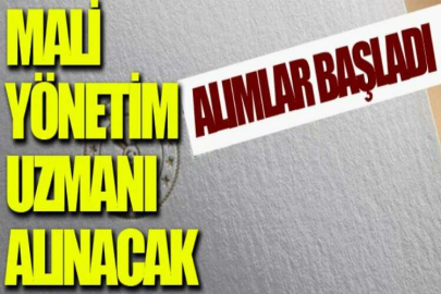 Mali Yönetim Uzmanı alınacak