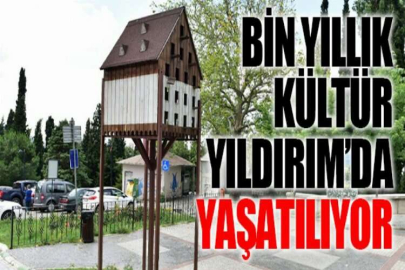 Yıldırım Belediyesi’nden minik dostlara yuva