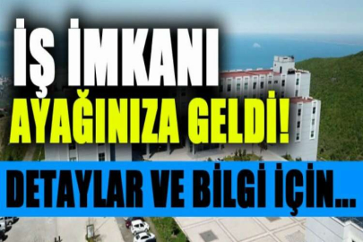 İstanbul Gedik Üniversitesi öğretim üyesi alacak