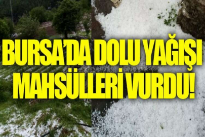 Bursa’da dolu yağışı mahsülleri vurdu