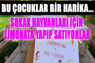 Bu çocuklar bir harika...Sokak hayvanları için limonata yapıp satıyorlar