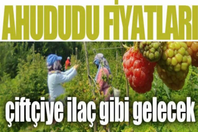 Ahududu hasadı üreticinin yüzünü güldürdü