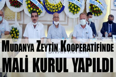 Mudanya Zeytin Kooperatifinde mâlî kurul yapıldı