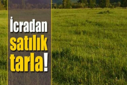 Uşak Sivaslı'da 1928 m2 tarla mahkemeden satılıktır (çoklu satış)