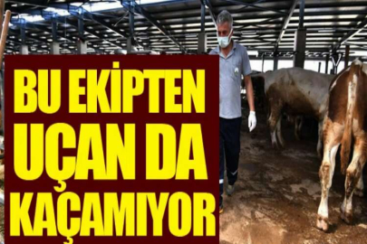 Bu ekipten uçan da kaçamıyor