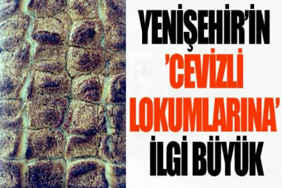 Yenişehir’in ’cevizli lokumlarına’ ilgi büyük