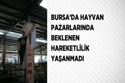 BURSA’DA HAYVAN PAZARLARINDA BEKLENEN HAREKETLİLİK YAŞANMADI