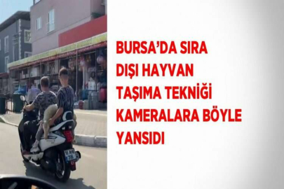 BURSA’DA SIRA DIŞI HAYVAN TAŞIMA TEKNİĞİ KAMERALARA BÖYLE YANSIDI