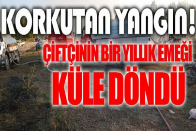 Çiftçinin bir yıllık emeği küle döndü