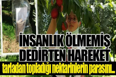 İnsanlık ölmemiş dedirten hareket