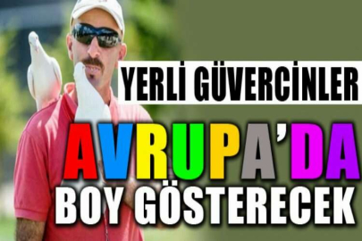 Yerli güvercinler Avrupa’da boy gösterecek