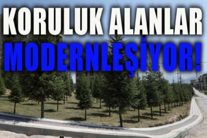 Koruluk alanlar modernleşiyor