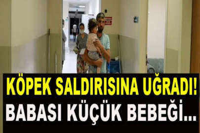 Köpeğin saldırısına uğrayan çocuğu babası zor kurtardı