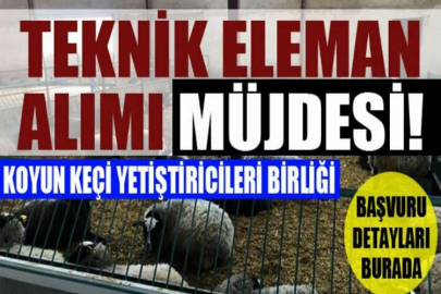 Koyun Keçi Yetiştiricileri Birliği Teknik Eleman Alımı