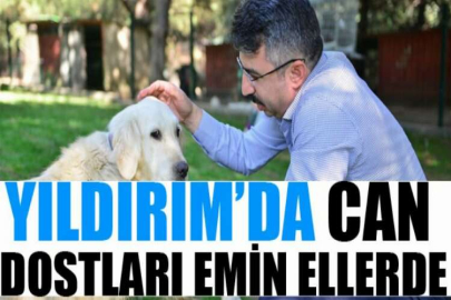 Yıldırım’da can dostları emin ellerde