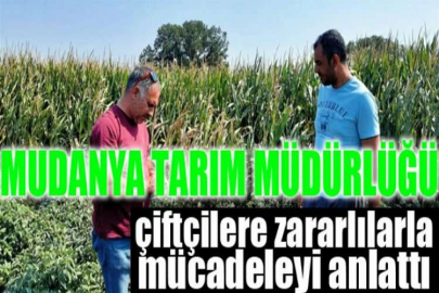 Mudanya Tarım Müdürlüğü, çiftçilere zararlılarla mücadeleyi anlattı