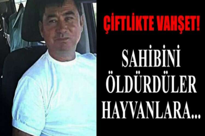 Çiftlikte vahşet!