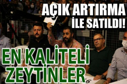 En kaliteli zeytinler açık artırma ile satıldı.