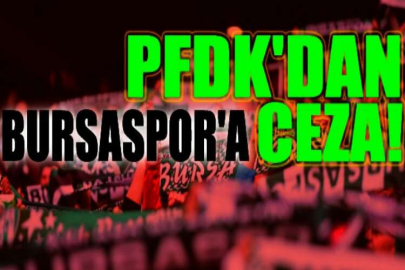 PFDK'dan Bursaspor'a ceza