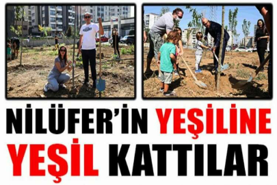 Nilüfer’in yeşiline yeşil kattılar