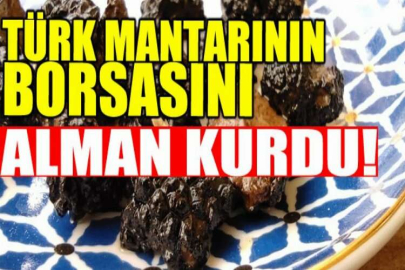 Almanya’dan geldi, kilosu 4 bin avro olan profesyonel trüf mantarı uzmanları yetiştiriyor