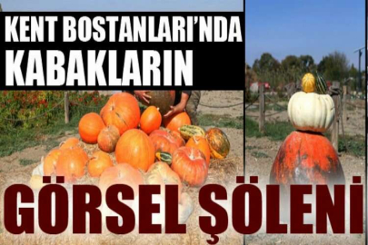 Kent Bostanları’nda kabakların görsel şöleni