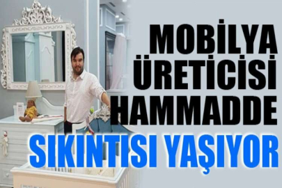 Mobilya üreticisi hammadde sıkıntısı yaşıyor