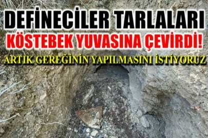 İznik'te defineciler tarlaları köstebek yuvasına çevirdi