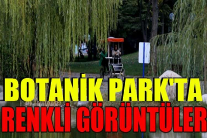 Botanik Park'ta sonbaharla birlikte renkli görüntüler