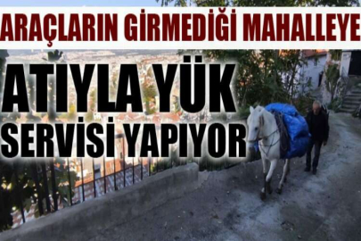 Araçların girmediği mahalleye atıyla yük servisi yapıyor