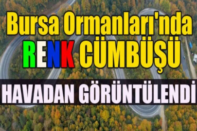 Bursa Ormanları'nda renk cümbüşü havadan görüntülendi