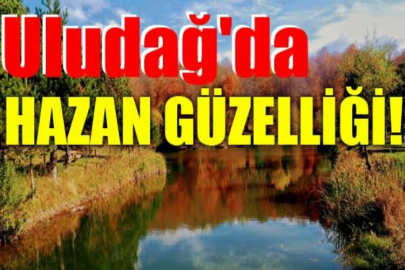 Uludağ'da hazan güzelliği