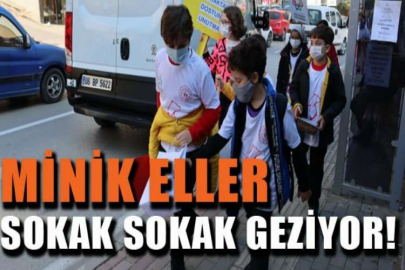 Minik öğrenciler sokak hayvanları için sokakta yürüyüp mama dağıttı