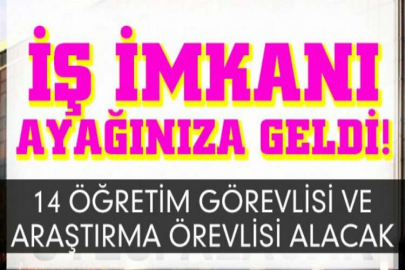 İskenderun Teknik Üniversitesi 14 Öğretim Görevlisi ve Araştırma Görevlisi alıyor