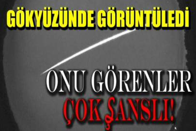 Onu görenler çok şanslı!