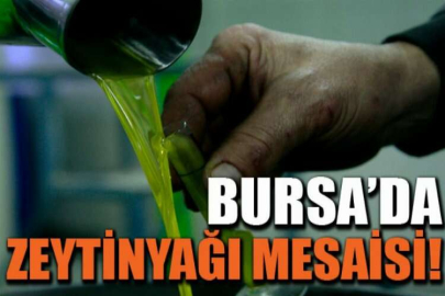 Bursa'da zeytinyağı için yağhanelerde mesai başladı