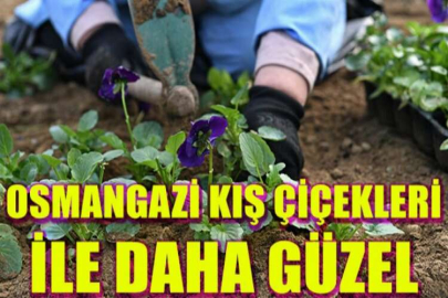 Osmangazi çiçek açtı