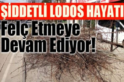 Bursa'da şiddetli lodos hayatı felç etmeye devam ediyor