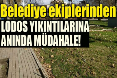 Belediye ekiplerinden lodos yıkıntılarına anında müdahale