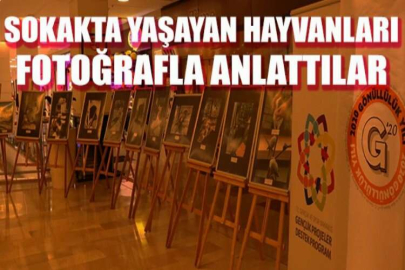 Minik öğrenciler sokakta yaşayan hayvanları fotoğraflarla anlattı