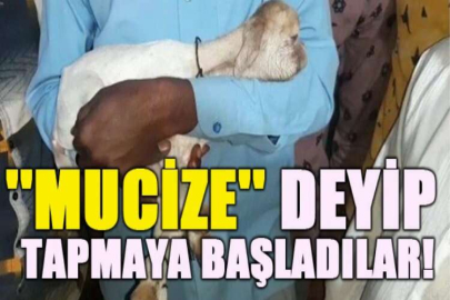 Tek gözle doğdu! ''Mucize'' deyip tapmaya başladılar