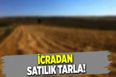 Orhangazi Düğüncüler'de 1.478 m² bağ icradan satılıktır