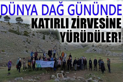 Dünya Dağ Gününde Katırlı zirvesine yürüdüler