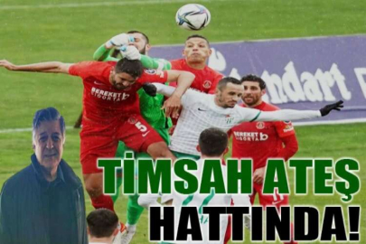 Timsah ateş hattında!