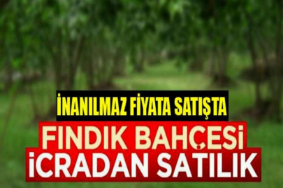 Balıkesir Havran fazlıca Mahallesi'nde 134 m² bahçe mahkemeden satılıktır