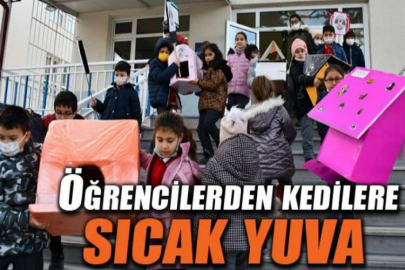 Öğrencilerden kedilere sıcak yuva