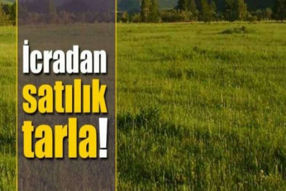 Muğla Menteşe'de 2.498 m² tarla icradan satılıktır