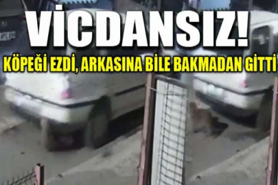 Köpeği ezdi, arkasına bile bakmadan gitti